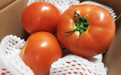 Helping Rural Cooperatives